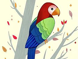 鹦鹉