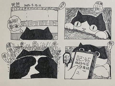 四格漫画｜与猫咪的日常第七弹