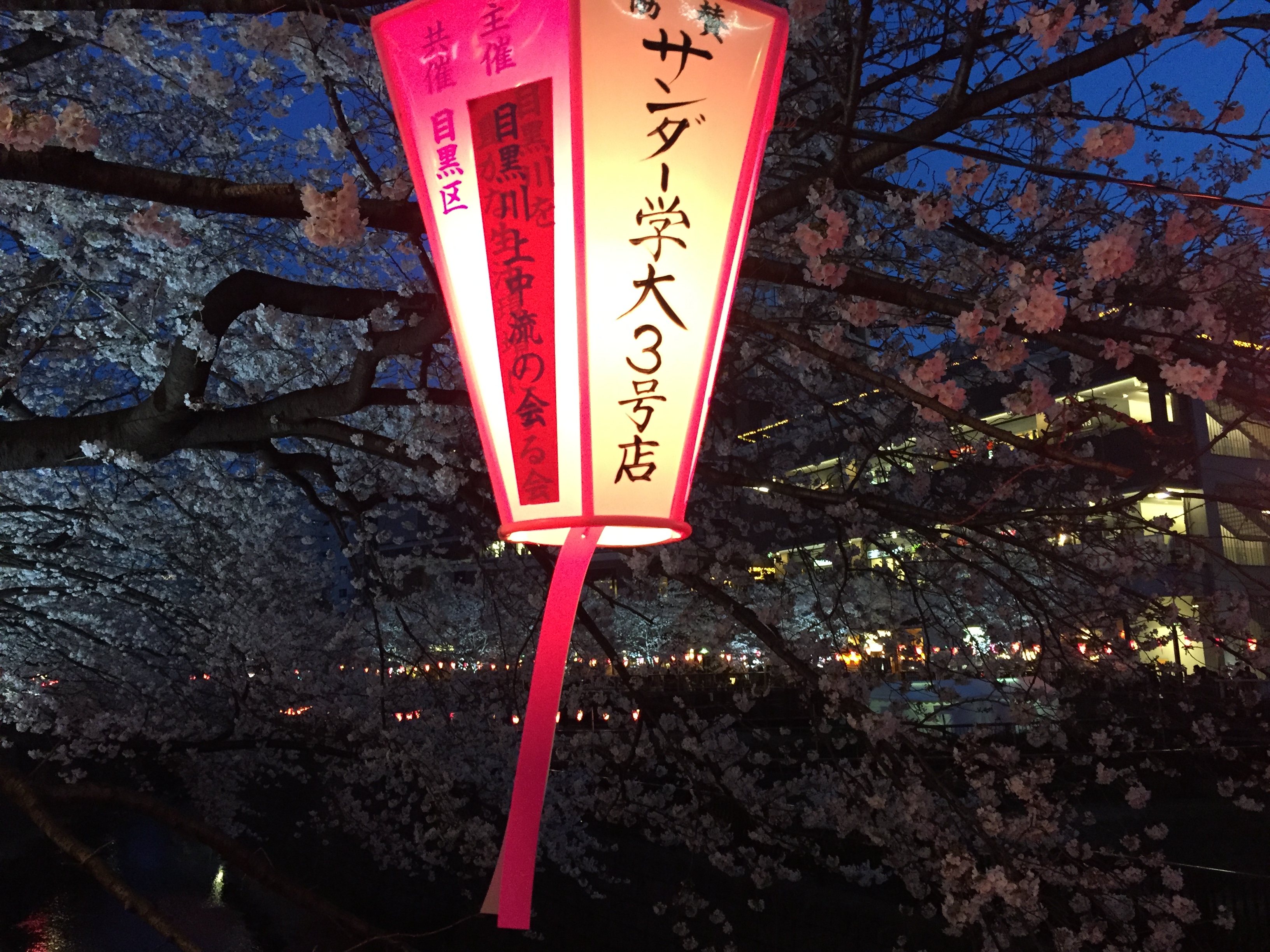 nini1215的个人主页（封面预览） - 主页封面设置 - 站酷设计师nini1215原创素材 - 站酷ZCOOL