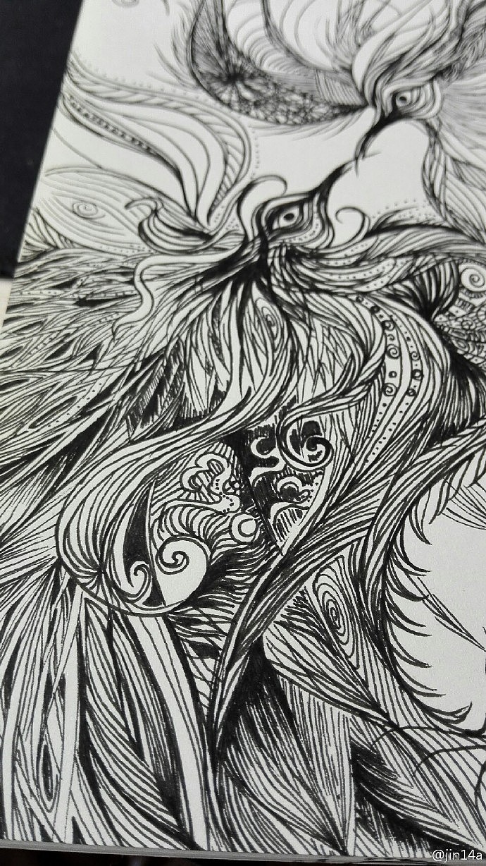 凤求凰的草图~以前上班开会时的涂鸦，重新画一下，等有时间转大图精细上稿（图ZNTY4NjM5MzY=） - 创作习作 - 站酷设计师jin14a原创素材 - 站酷ZCOOL