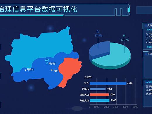 公安系统数据可视化平台