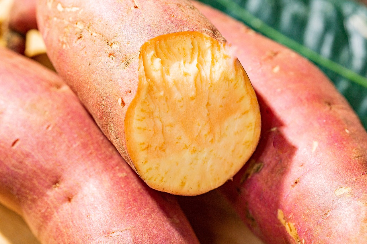 山合易有机烟薯