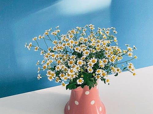 愿你温柔，又有力量（个人主页-ZNDk3MTgxMDQ=） - 艺术插画 - 站酷设计师田蔡蔡原创素材 - 站酷ZCOOL