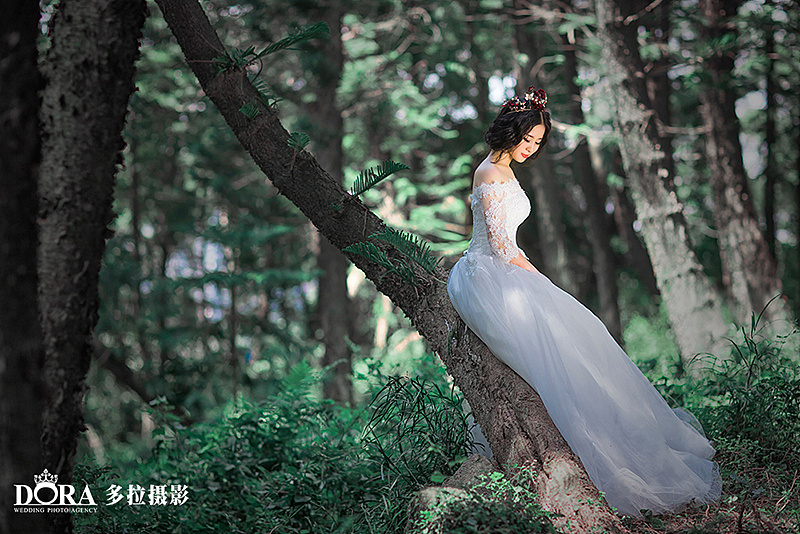 多拉婚纱照_基多拉图片(2)
