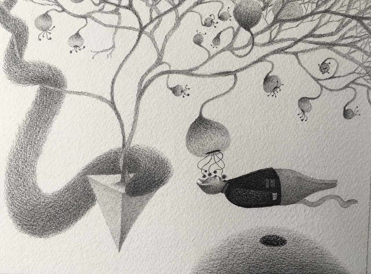 猫站长的白日梦 2