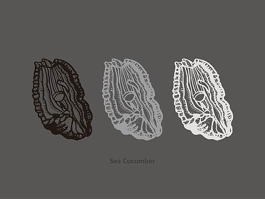 海参手绘