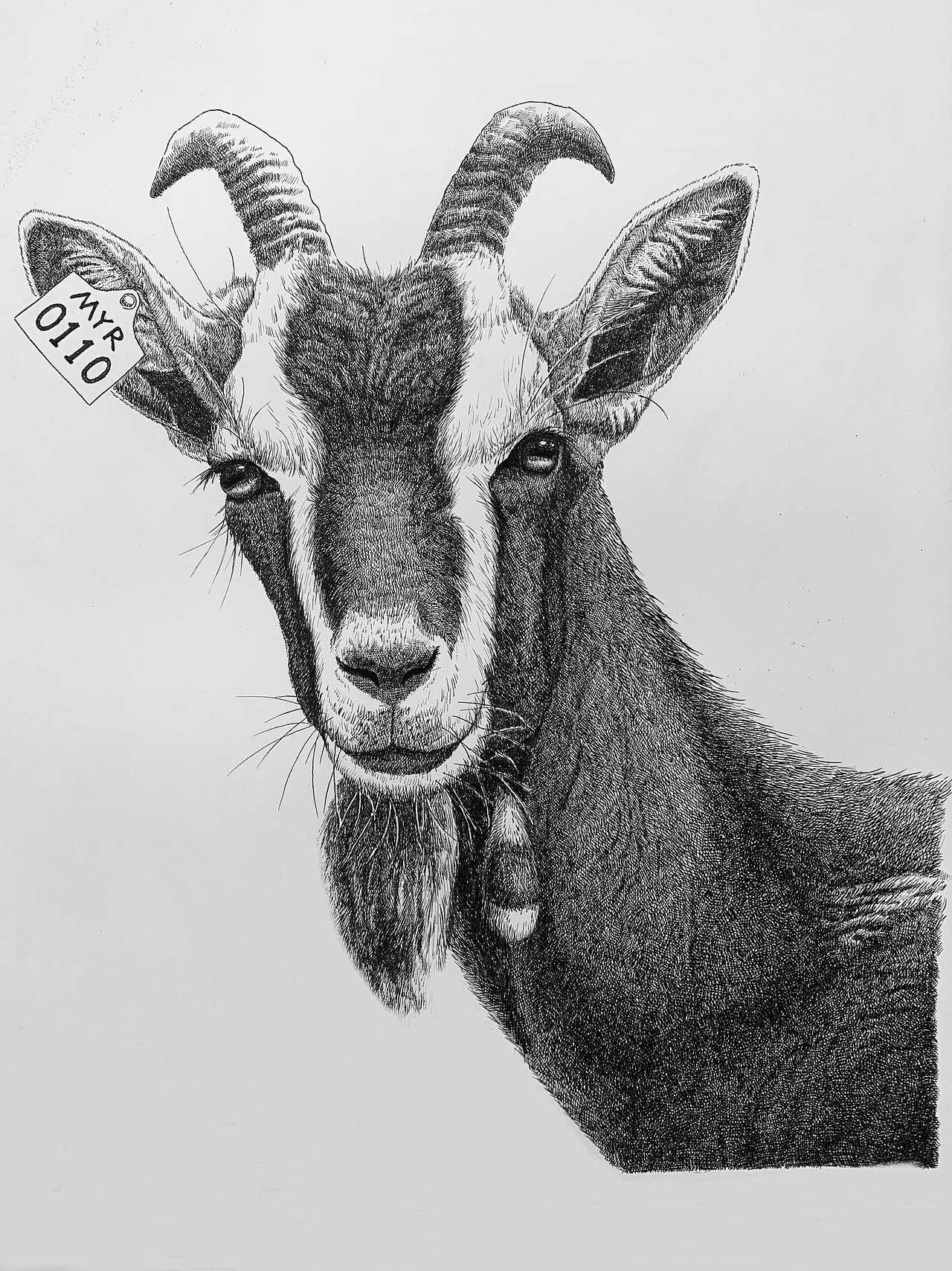 习作（图ZMjQ5MjUxMzY0） - 绘画 - 站酷设计师大KAI原创素材 - 站酷ZCOOL