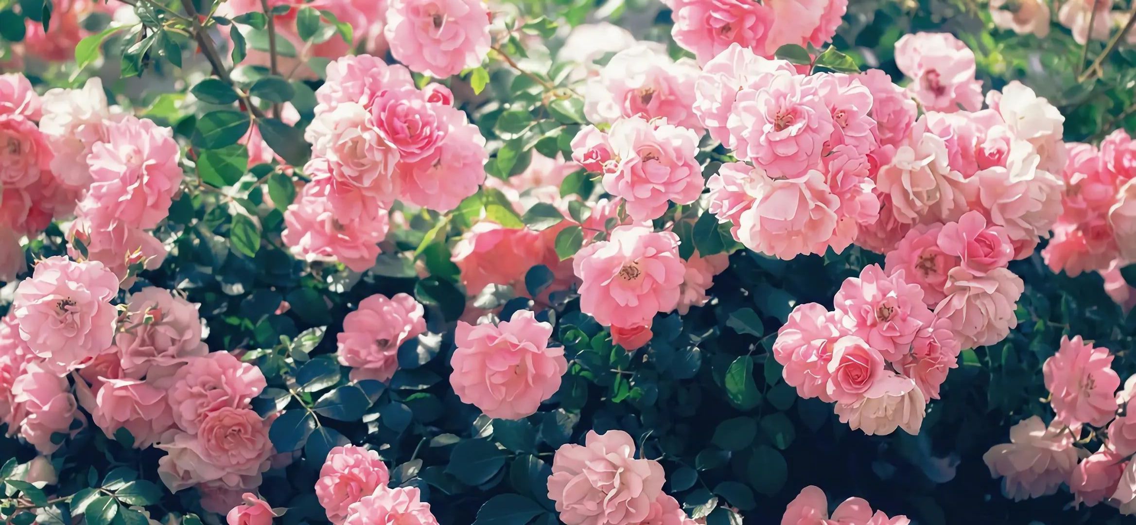 Mosquito_JW的個(gè)人主頁（封面預(yù)覽） - 主頁封面設(shè)置 - 站酷設(shè)計(jì)師Mosquito_JW原創(chuàng)素材 - 站酷ZCOOL