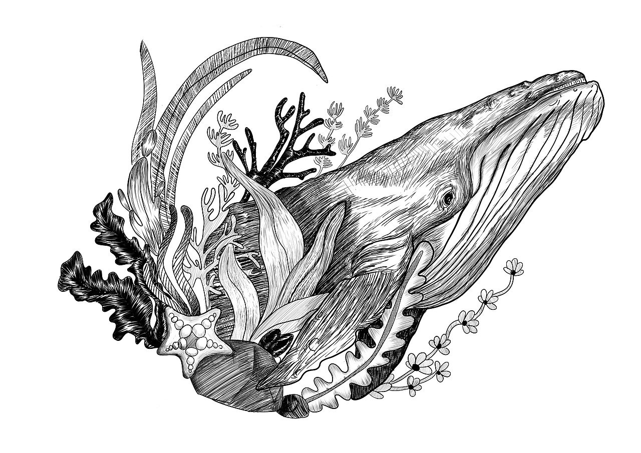 给爱宠最完美的爱——珍味之王璀璨系列包装设计