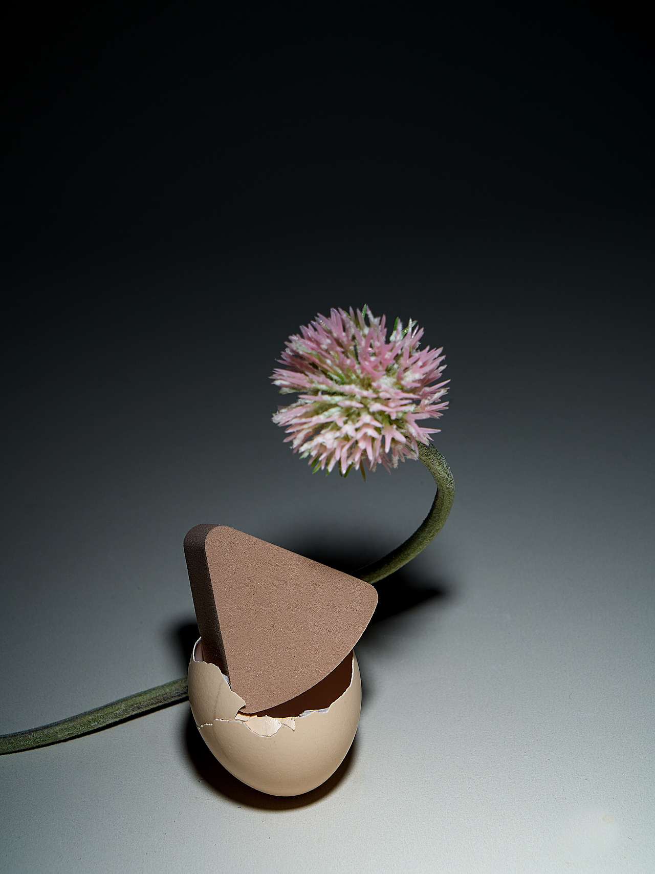 静物｜一组粉扑创意拍摄