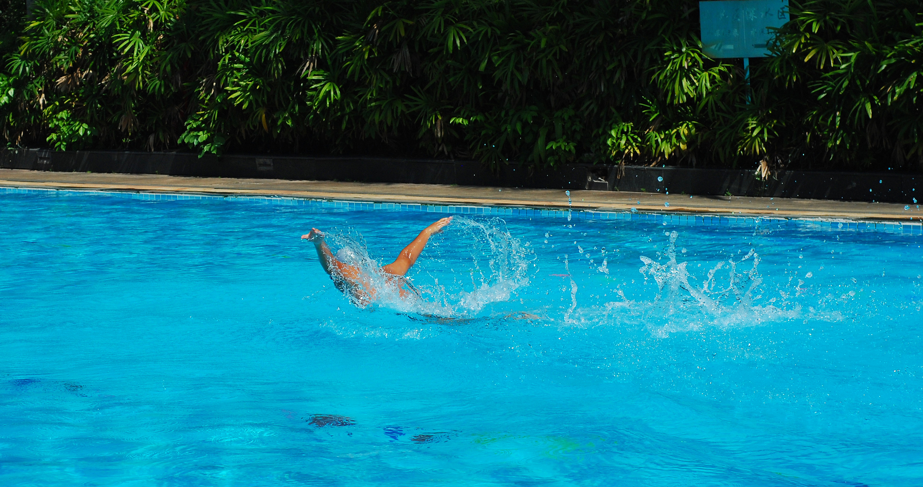 游泳赛场上的孩子们