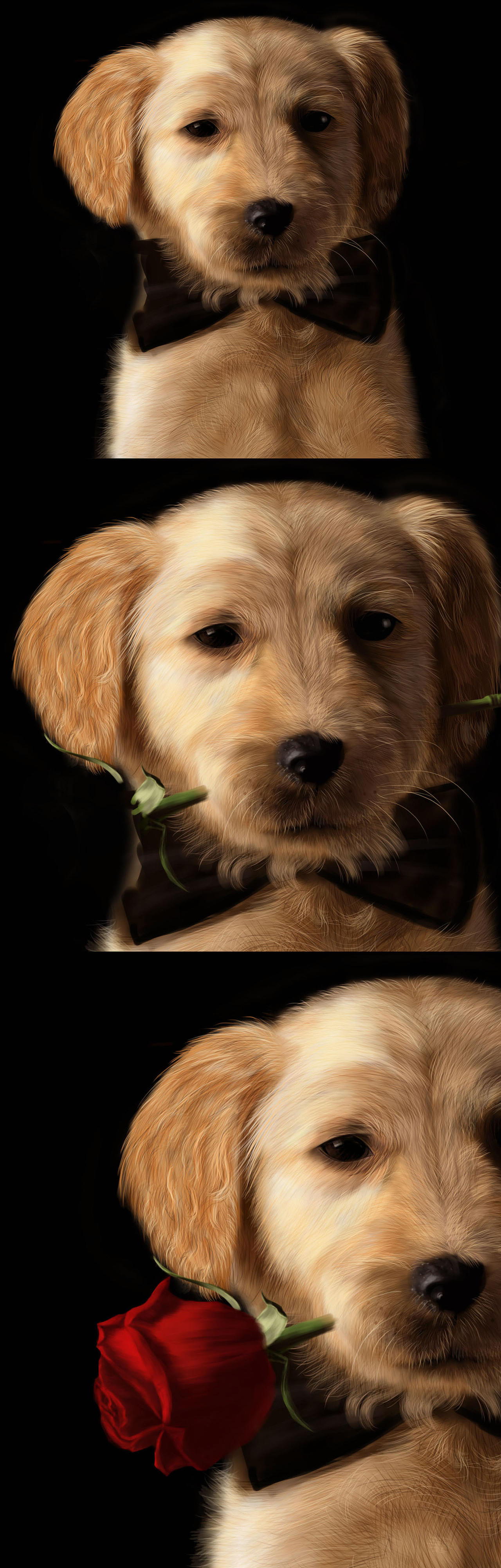 DOG（圖ZMTMxOTg1OTE2） - 創(chuàng)作習(xí)作 - 站酷設(shè)計(jì)師Carnys原創(chuàng)素材 - 站酷ZCOOL