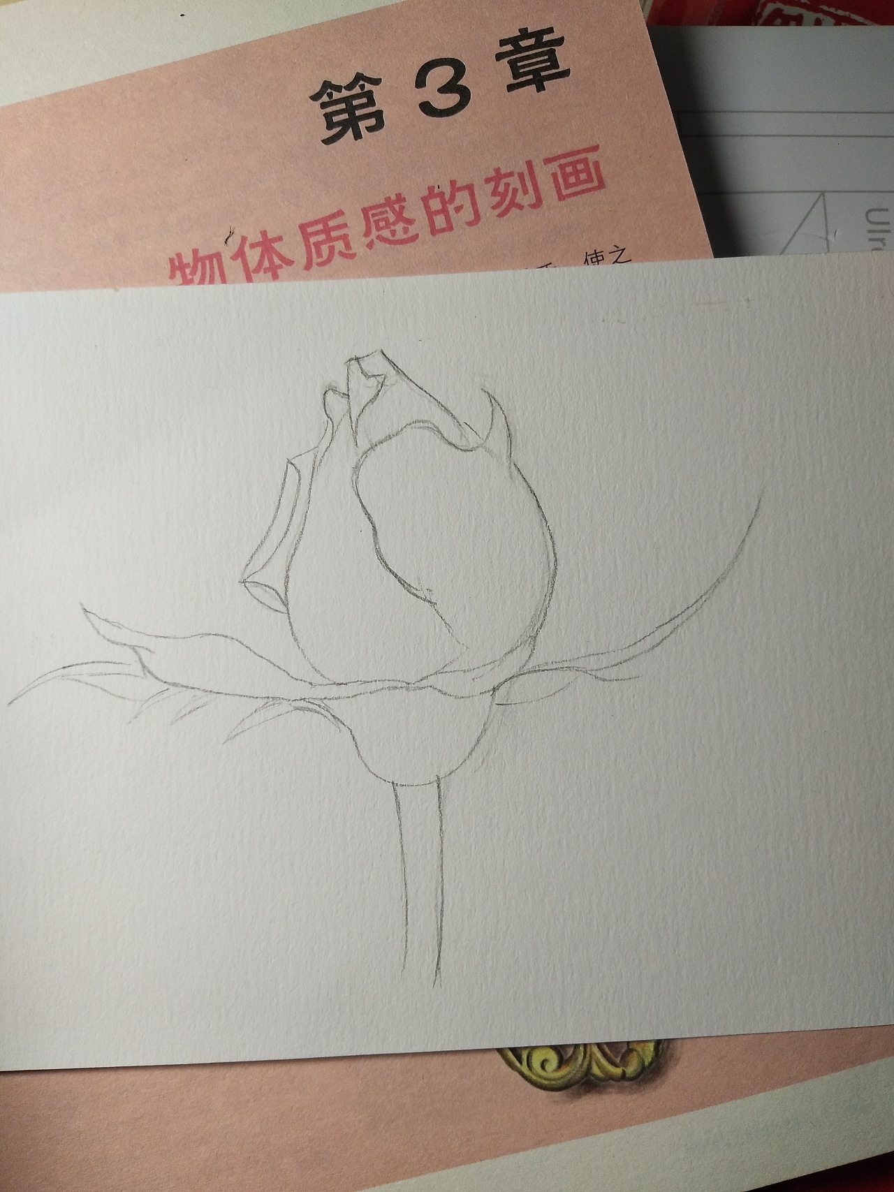 玫瑰花苞怎么画简单图片
