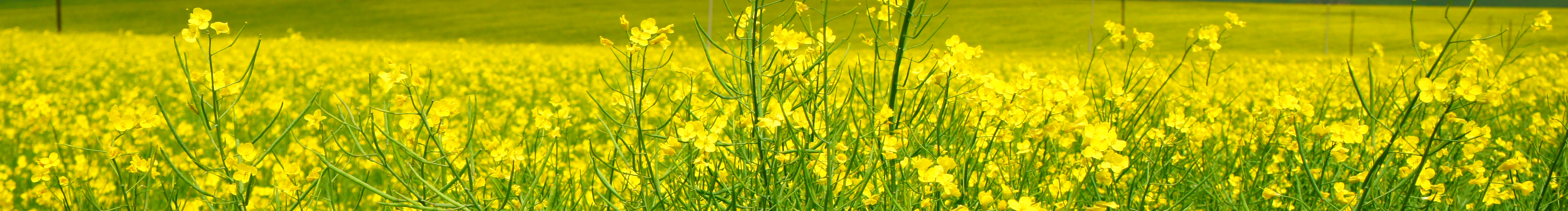 木YONG的个人主页（封面预览） - 主页封面设置 - 站酷设计师木YONG原创素材 - 站酷ZCOOL