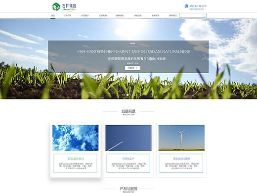 关于一个新能源的网站