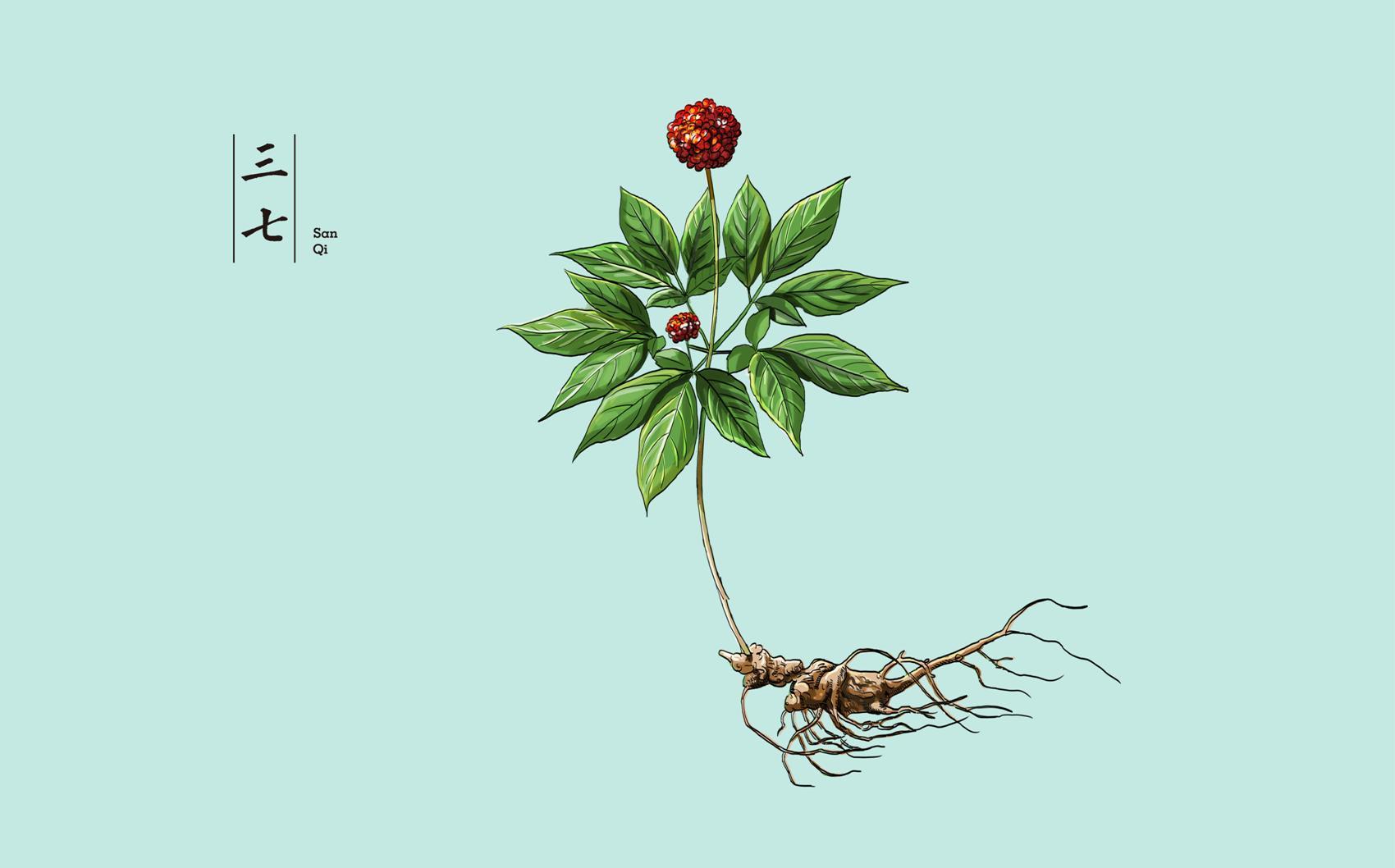 中药材包装设计提案稿(前十款)