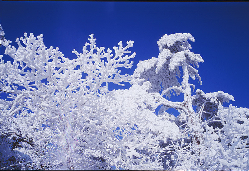 黄山徽州各时期胶片摄影