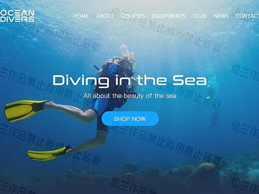 OCEAN DIVER 潜水网站设计