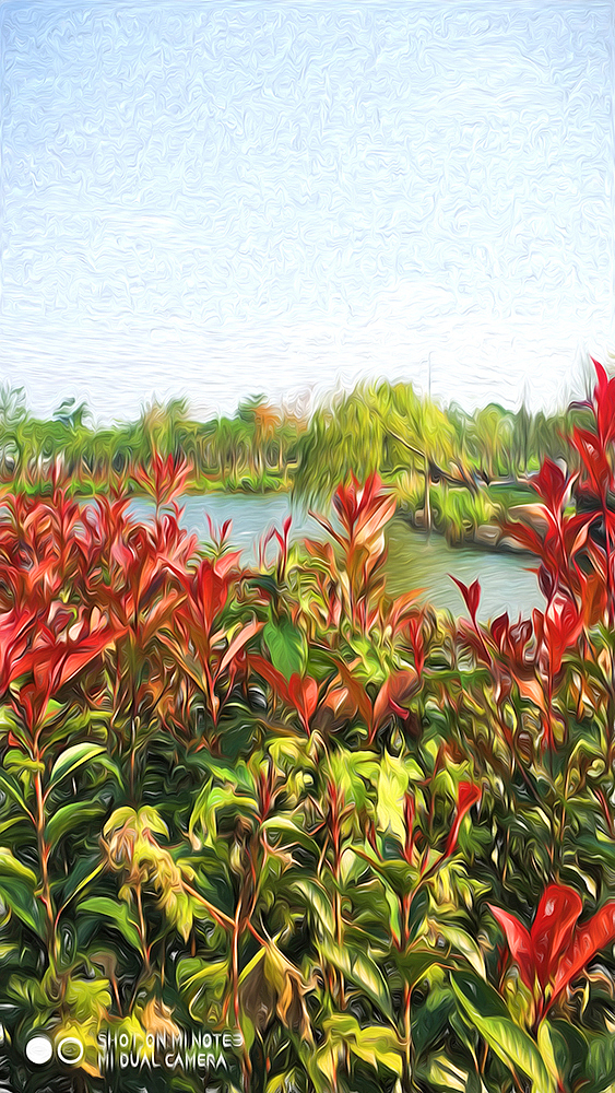 采風(fēng)（圖ZOTgxODAxMDg=） - 風(fēng)光攝影 - 站酷設(shè)計師美麗UI原創(chuàng)素材 - 站酷ZCOOL