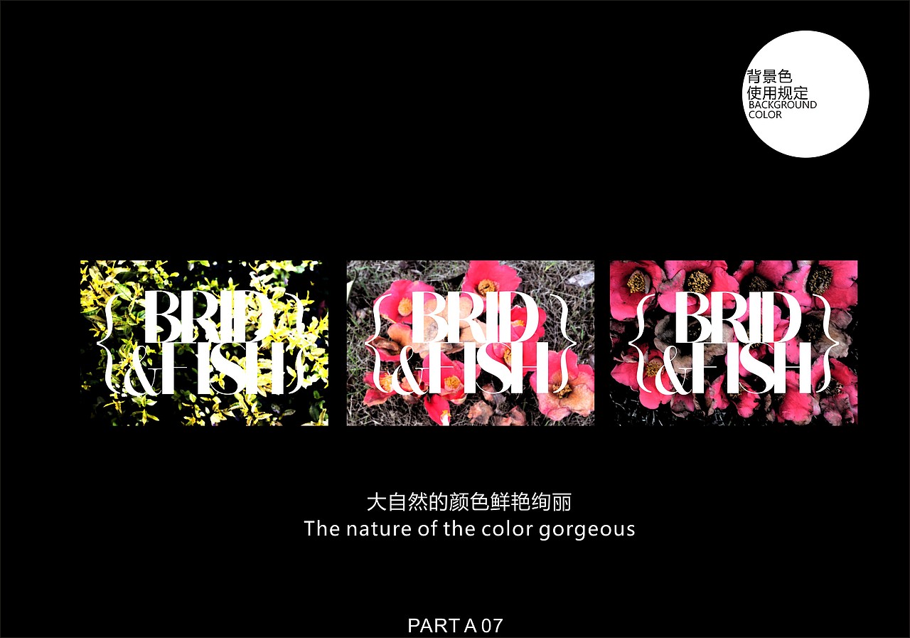 Ash·毕业设计brid&fish工作室VI设计（图ZNTI3NjExODg=） - 品牌 - 站酷设计师Ash李原创素材 - 站酷ZCOOL