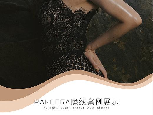 案例展架