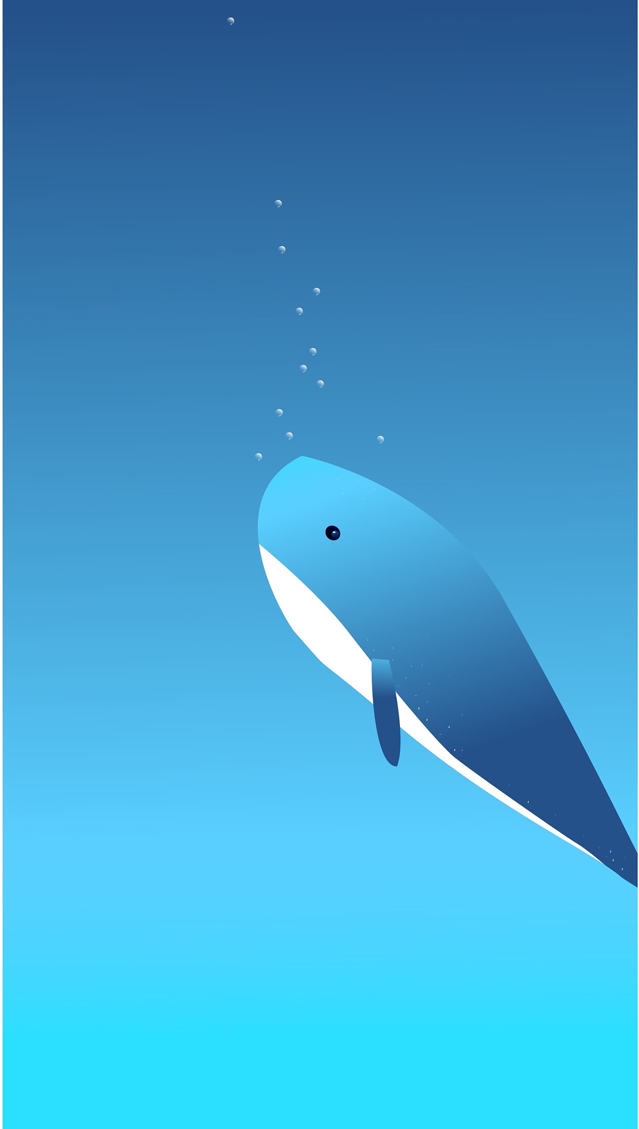 鲸鱼的梦|平面|图案|晚泥 - 原创作品 - 站酷 (zcool)