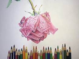 彩铅画