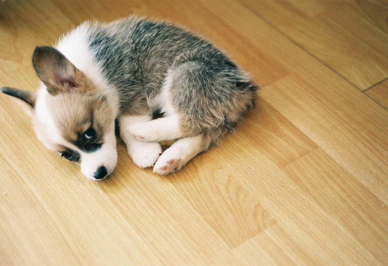 吴熙玮和他的胶片