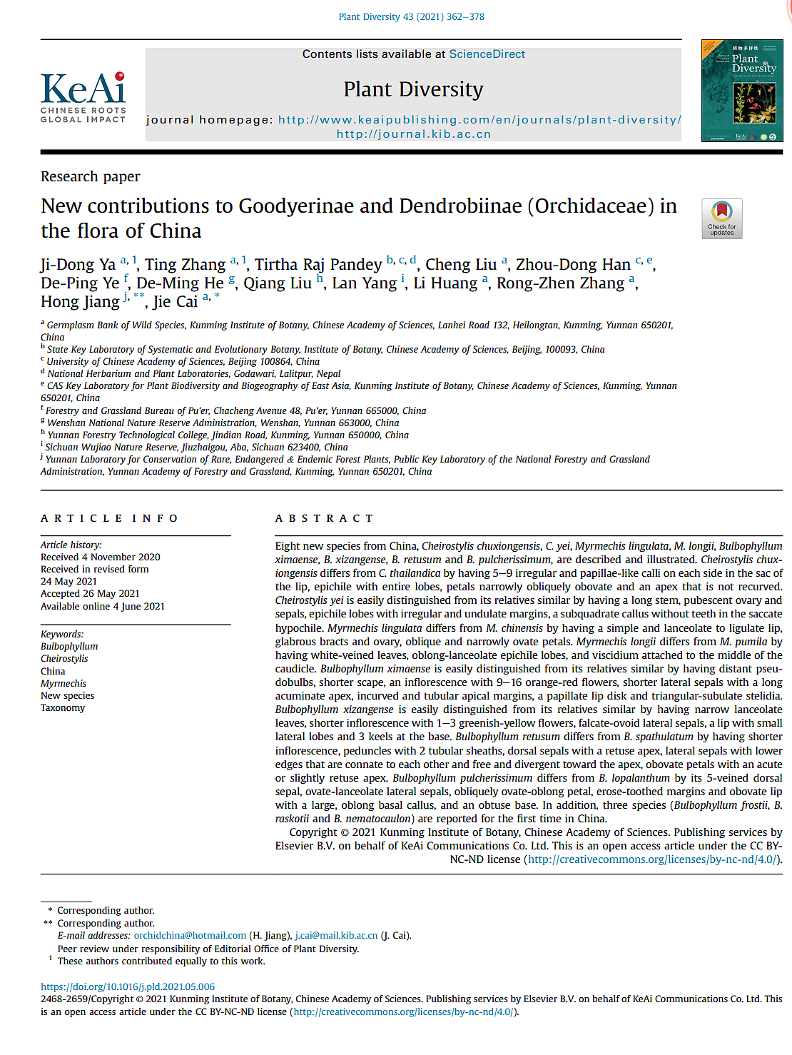 新种-Bulbophyllum nematocaulon（图ZMjg1MTQ1NzUy） - 绘画 - 站酷设计师寻山追水原创素材 - 站酷ZCOOL