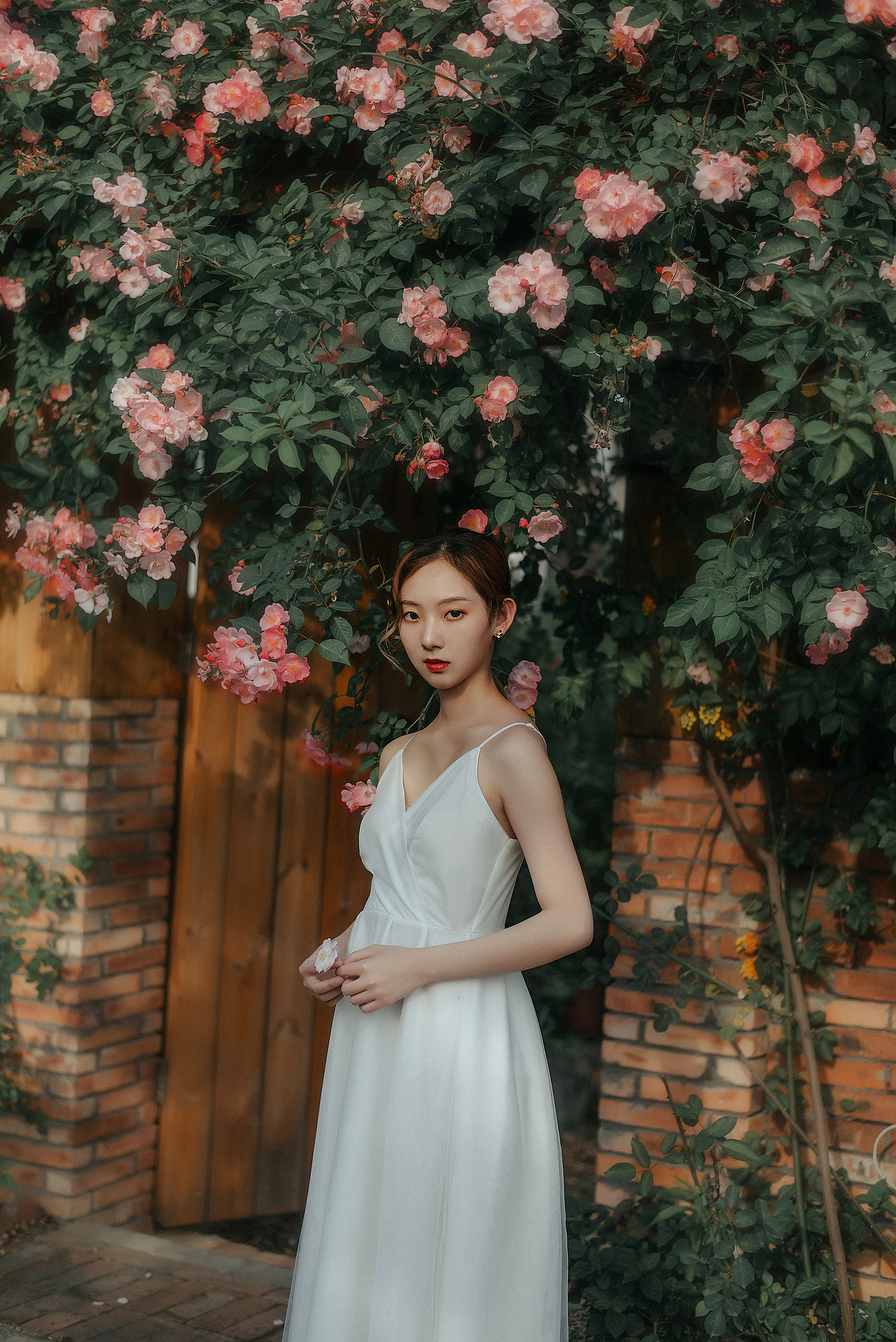 蔷薇（图ZMjU0Njc2NzU2） - 人像摄影 - 站酷设计师阿末photo原创素材 - 站酷ZCOOL