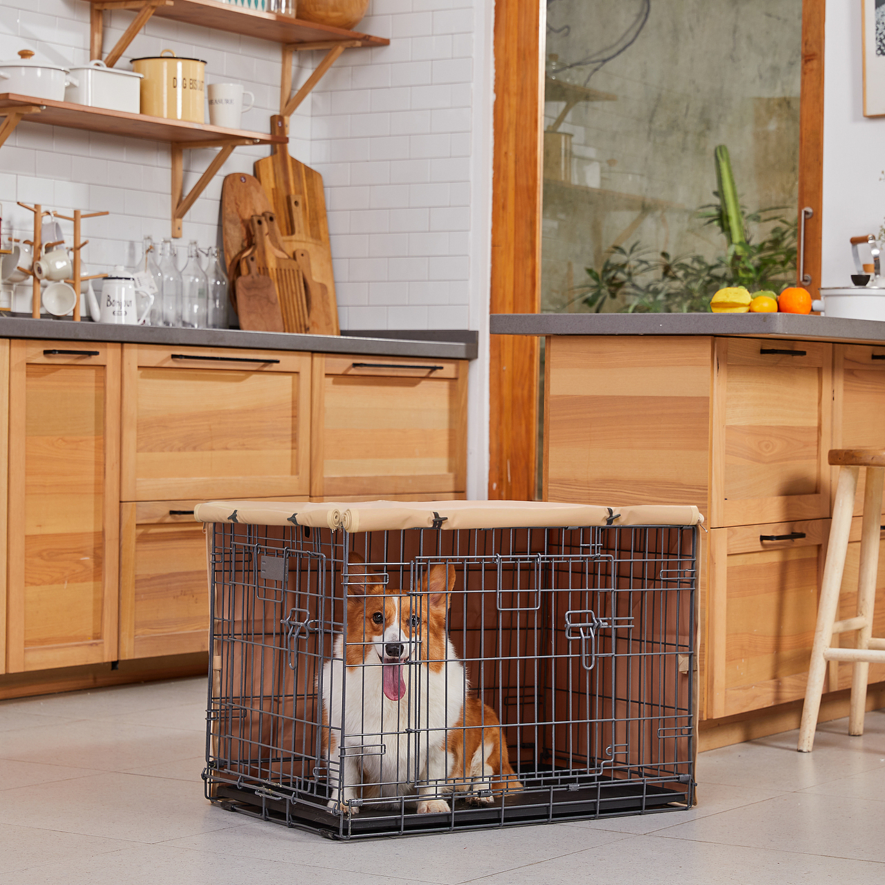 【聚豪设计-宠物类】宠物产品集合