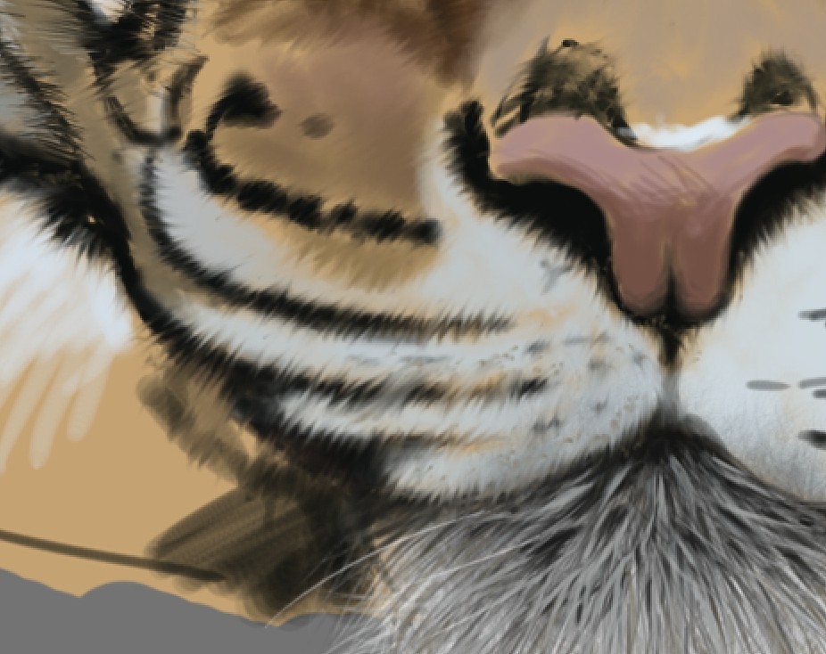 Tiger(图ZMTEyOTIxMzI=) - 创作习作 - 站酷设计师SW伯爵原创素材 - 站酷ZCOOL