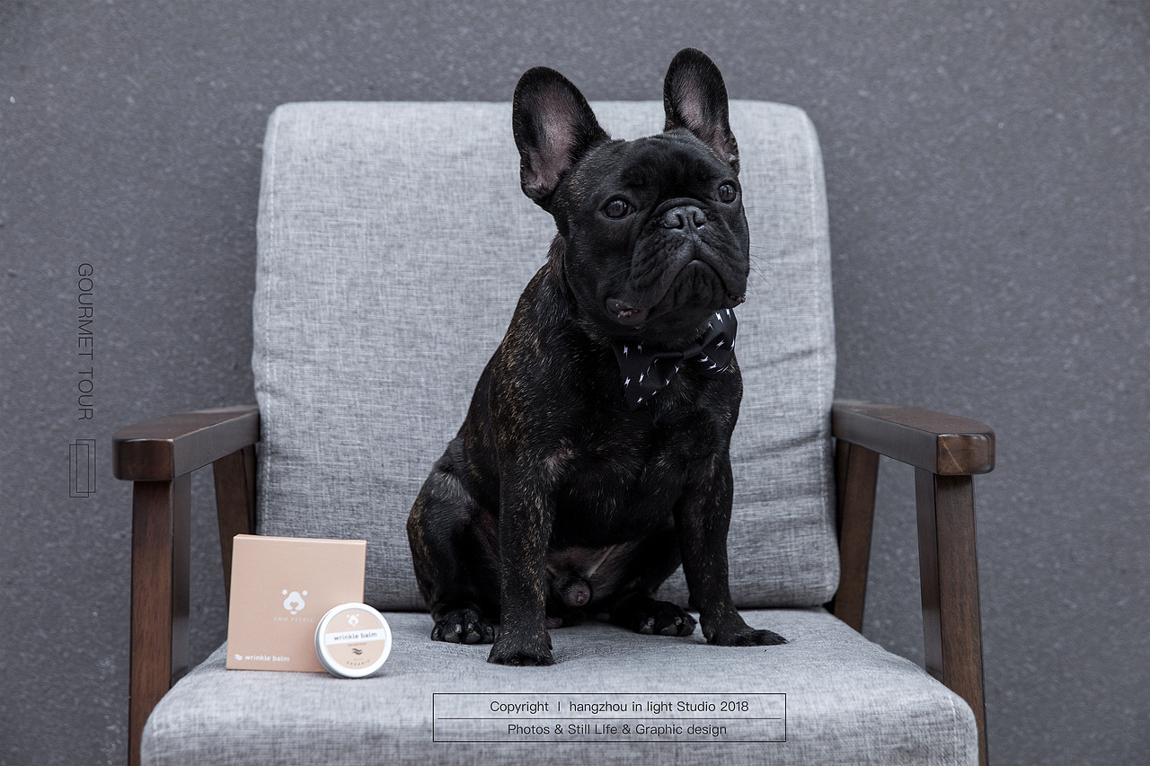 给你的狗狗不一样的爱(宠物护肤品)#IN LIGHT#