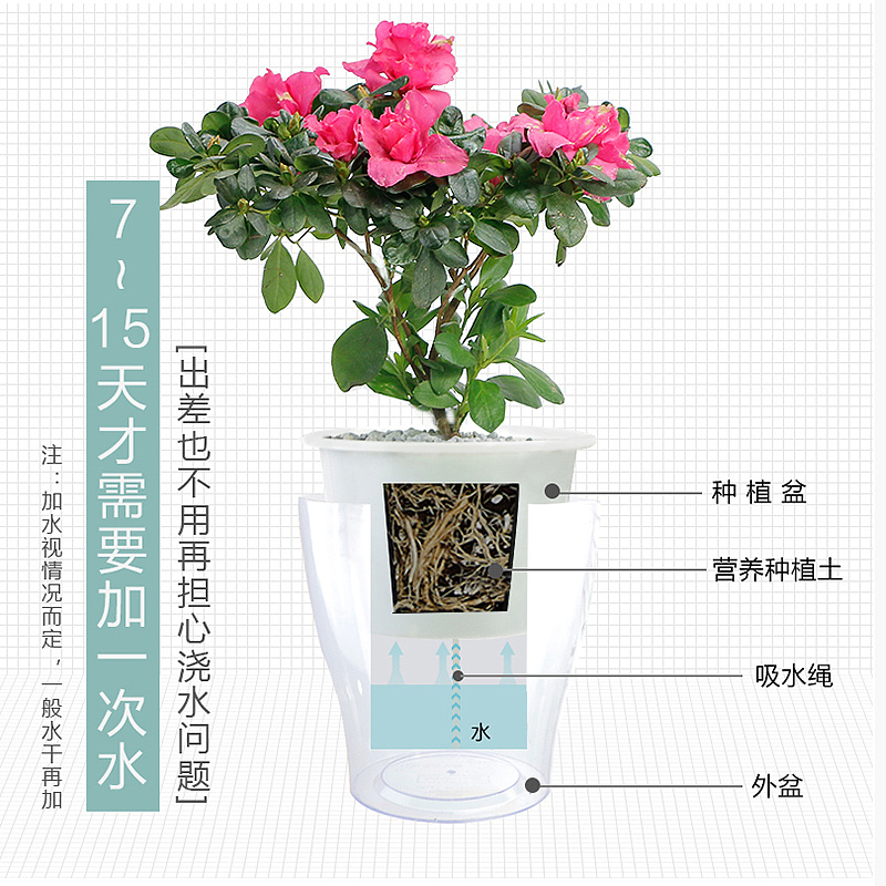 2018花卉园艺主图（图ZMTA1MzQxNjUy） - 电商 - 站酷设计师电商合成设计师原创素材 - 站酷ZCOOL