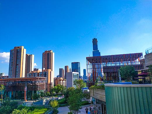 中信泰富疫情下的2020