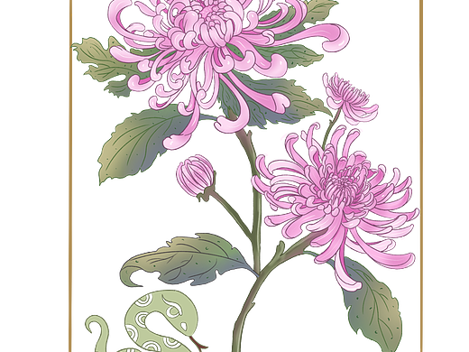 蛇年十二花神