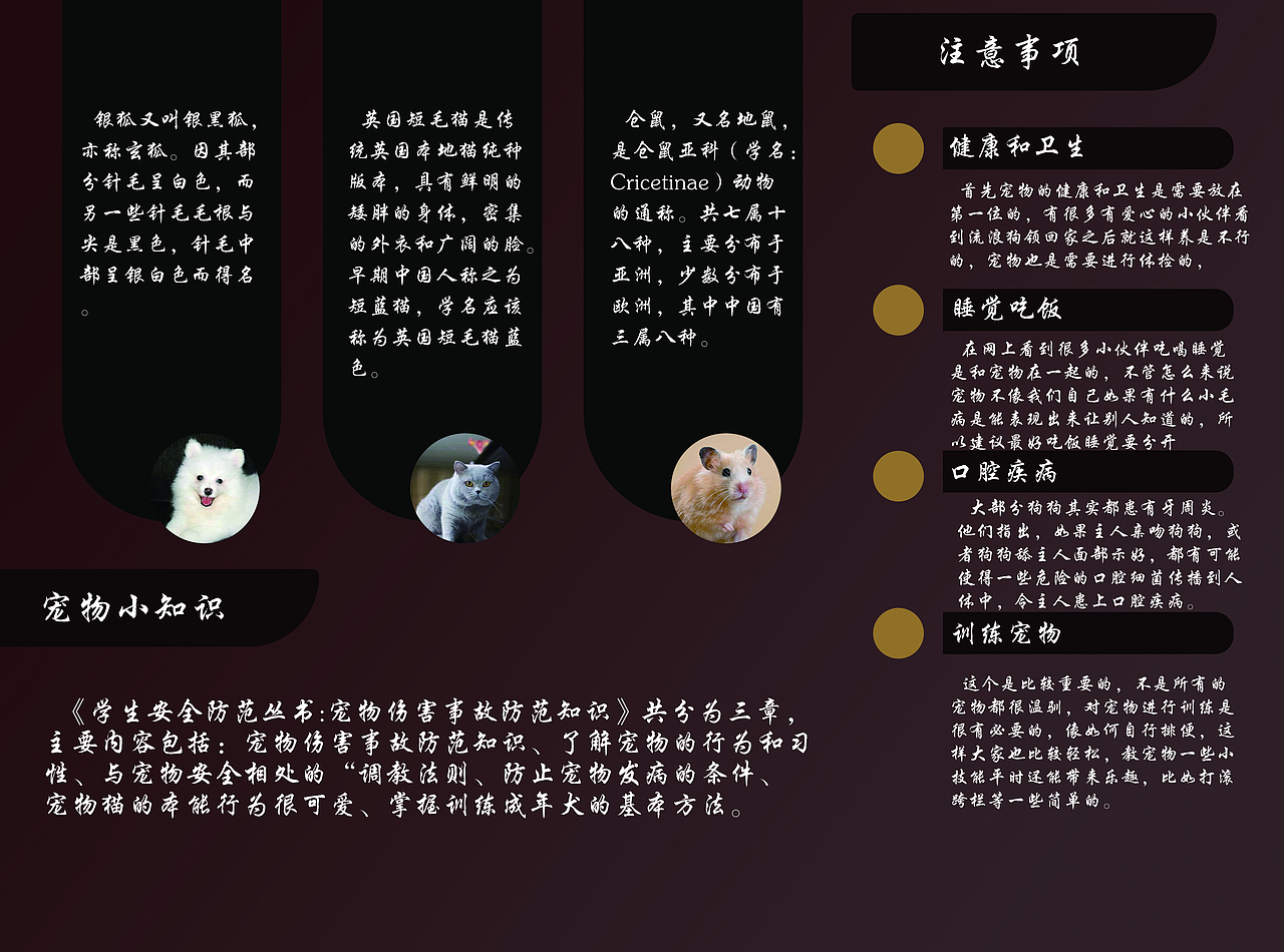 三折页（图ZMTM3NTMxNzQw） - 宣传物料 - 站酷设计师丨海盗船长丨原创素材 - 站酷ZCOOL