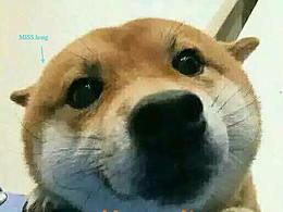 一個朋友喝醉了