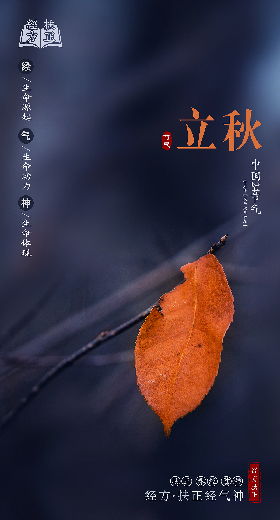 24节气——立秋（图ZMjY0Nzk3MzY4） - 海报 - 站酷设计师王子墨WZM原创素材 - 站酷ZCOOL
