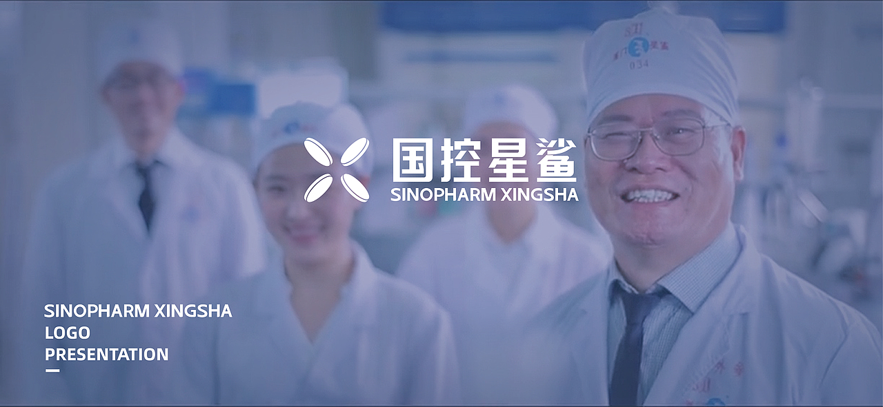 國(guó)控星鯊 標(biāo)志設(shè)計(jì)（圖ZMjk3MTI5ODY0） - Logo - 站酷設(shè)計(jì)師Cheriebabe原創(chuàng)素材 - 站酷ZCOOL