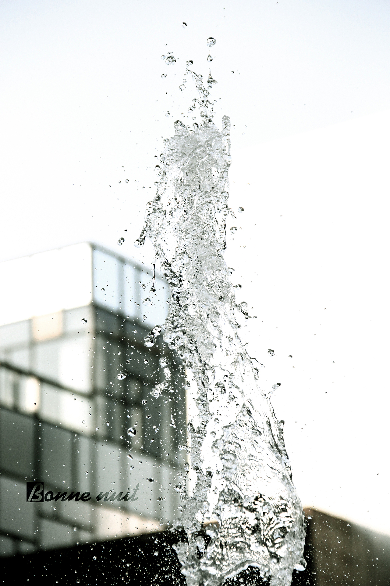 介个像不像一个穿长裙摆晚礼服的女银