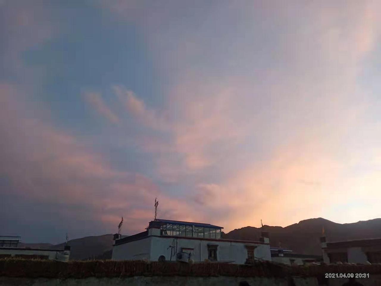 圣地西藏风景,雪山,草木,花朵