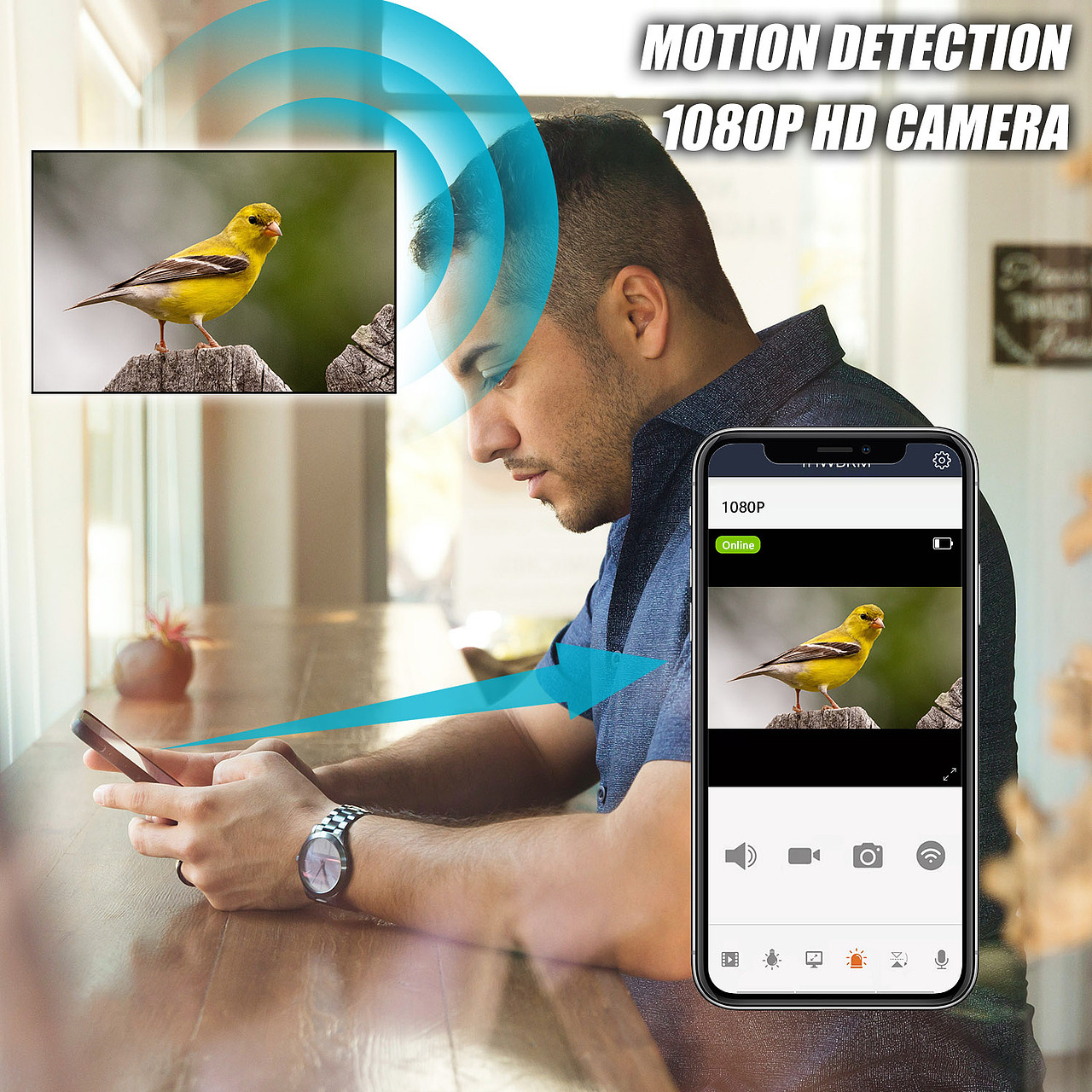 捕鸟器亚马逊主图/ A+