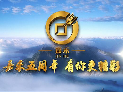 平安保险-周年发展专题片