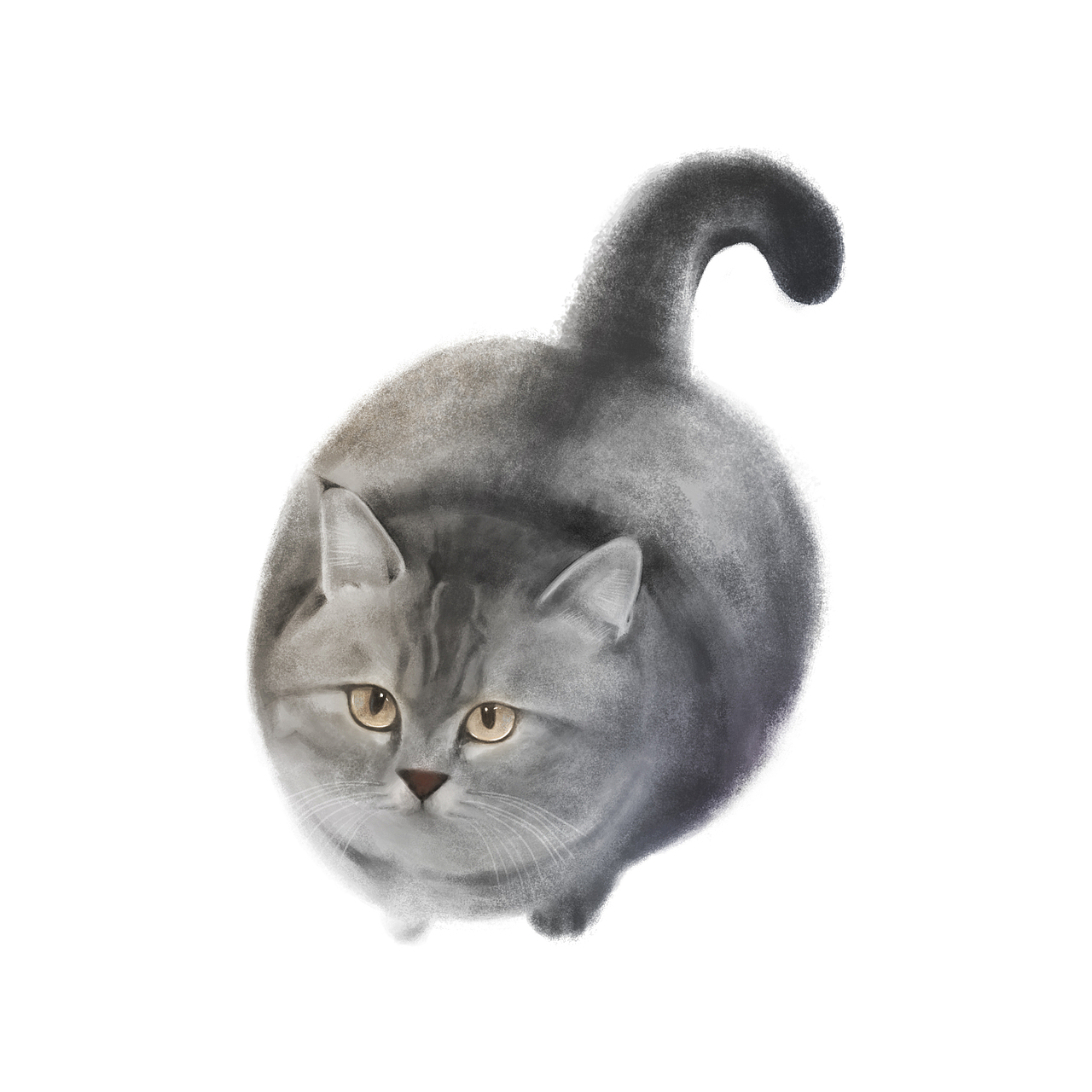 我家的猫主子（图ZMjYyOTY1MDYw） - 创作习作 - 站酷设计师豆小嘟原创素材 - 站酷ZCOOL