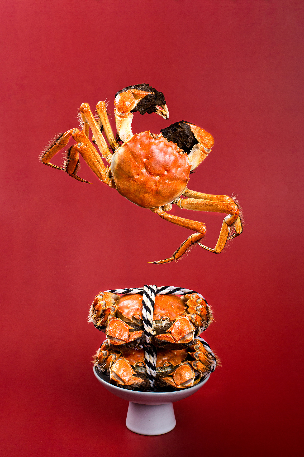 大闸蟹场景图拍摄