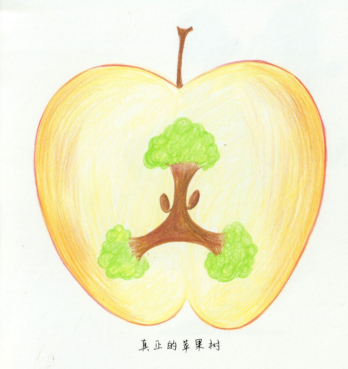 森林里100棵异想天开的树