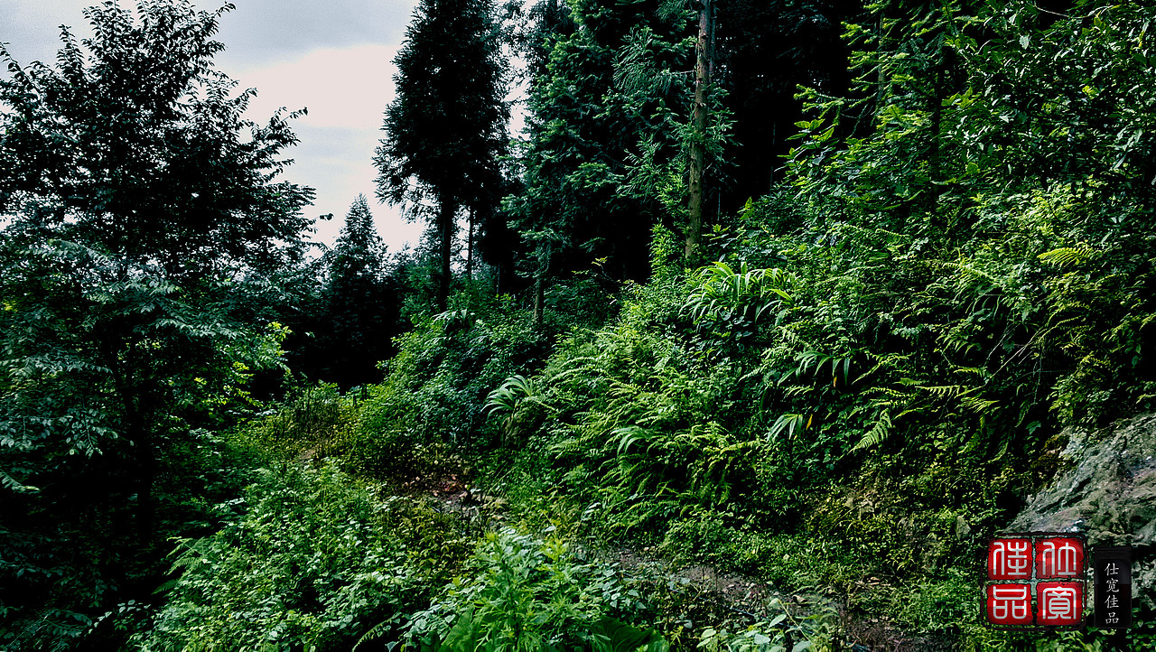 20160316_摄影色彩（图ZNDQ1NDA2Njg=） - 修图/后期 - 站酷设计师仕宽佳品原创素材 - 站酷ZCOOL