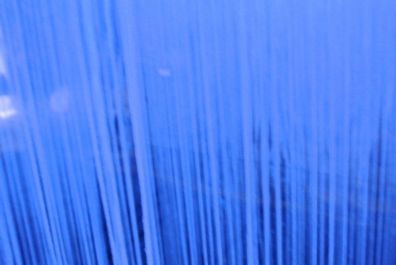 2015年深港雙年展