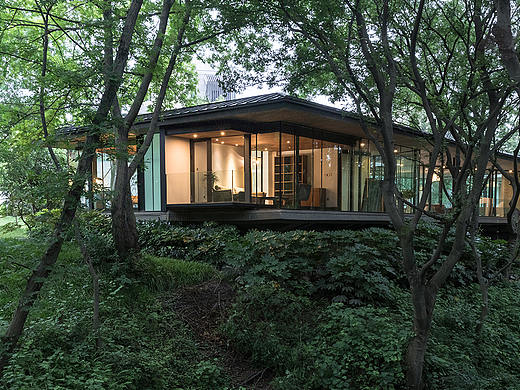 「建筑摄影」Water Lilies 睡莲